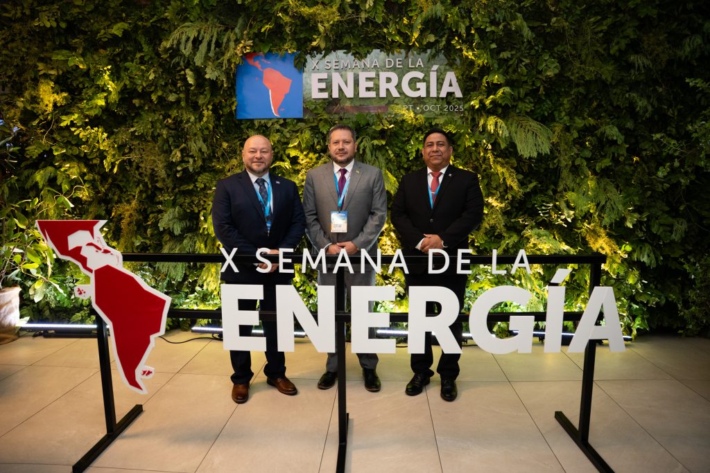Bolivia reafirma su compromiso con la integración energética y la transición justa en encuentro ministerial de OLADE